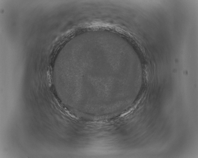 X0000074011493200609111610