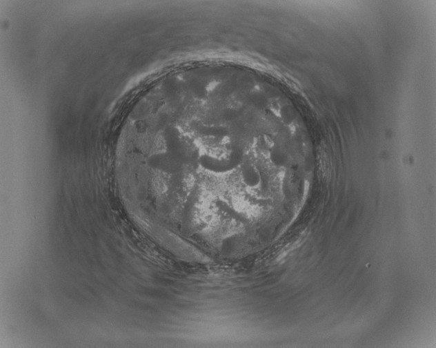 X0000074011494200609111610