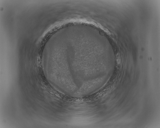 X0000074011495200609111610