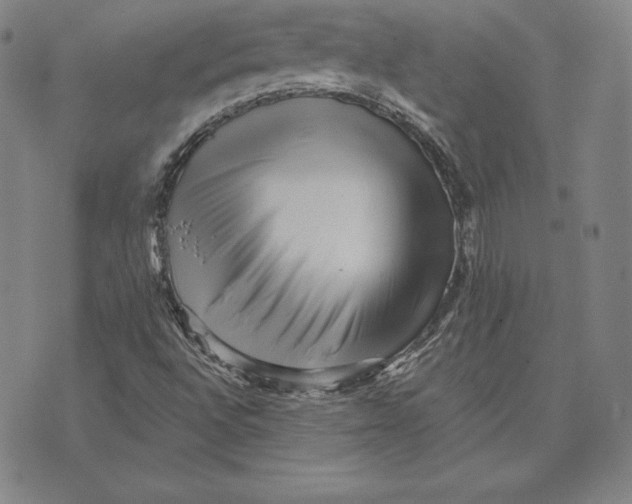 X0000074011496200609111610