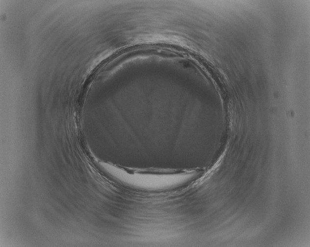 X0000074011497200609111610