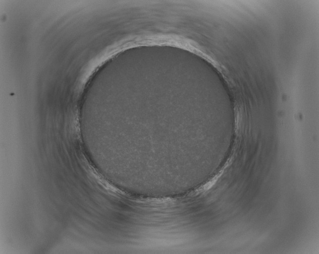 X0000074011498200609111610