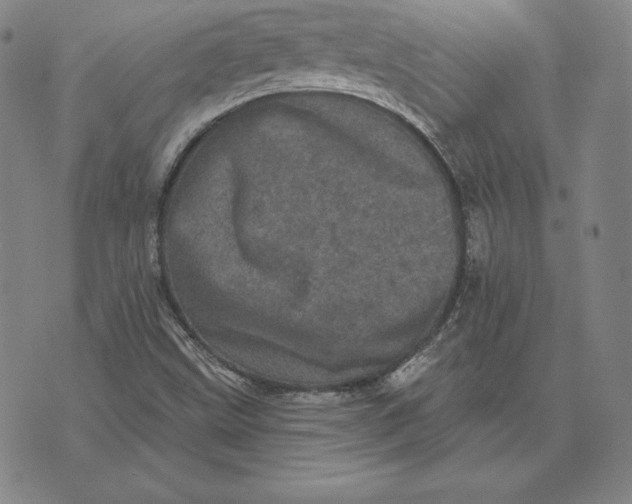 X0000074011499200609111610