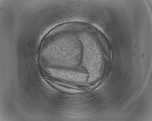 X0000074011500200609111610