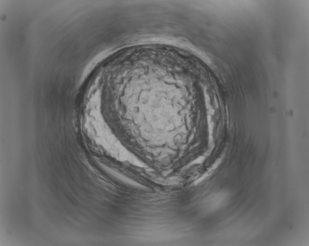 X0000074011501200609111610