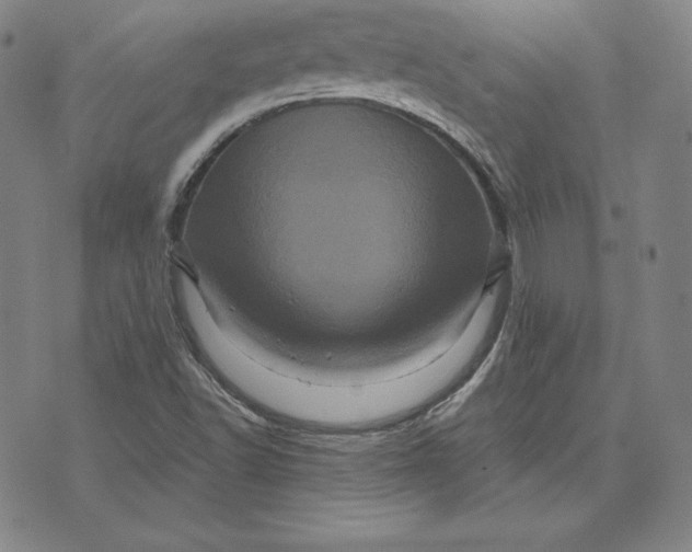 X0000074011502200609111610