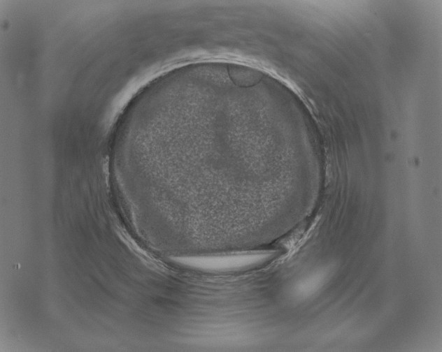 X0000074011503200609111610