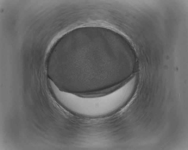 X0000074011506200609111610