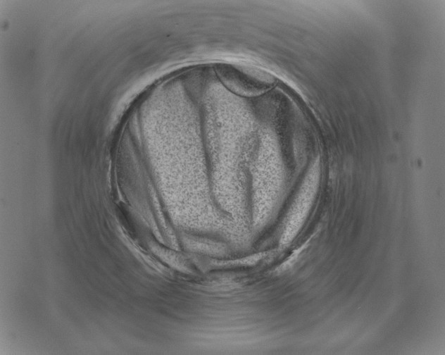 X0000074011507200609111610