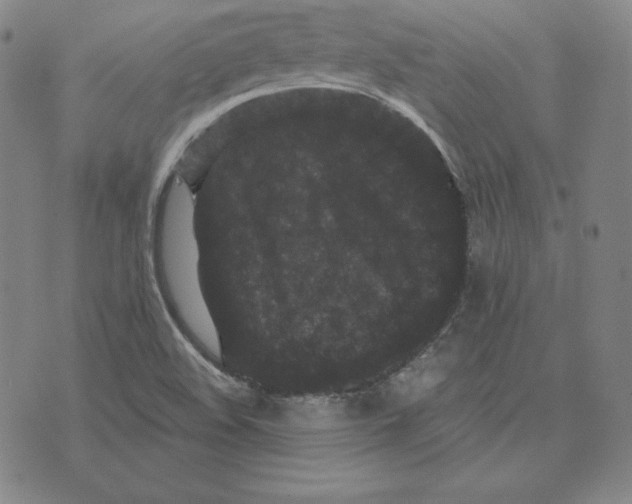 X0000074011508200609111610