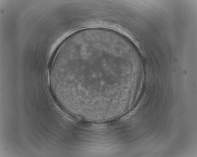 X0000074011509200609111610