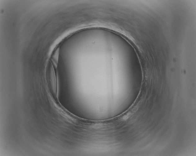 X0000074011510200609111610