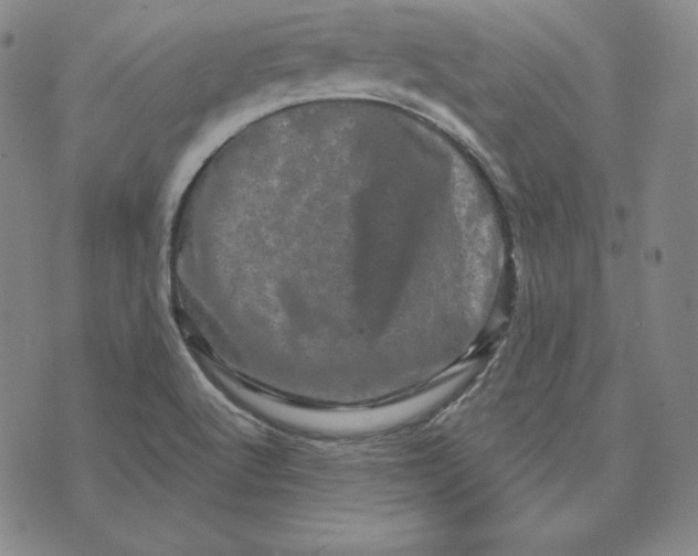 X0000074011512200609111610