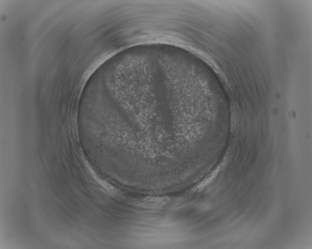 X0000074011513200609111610