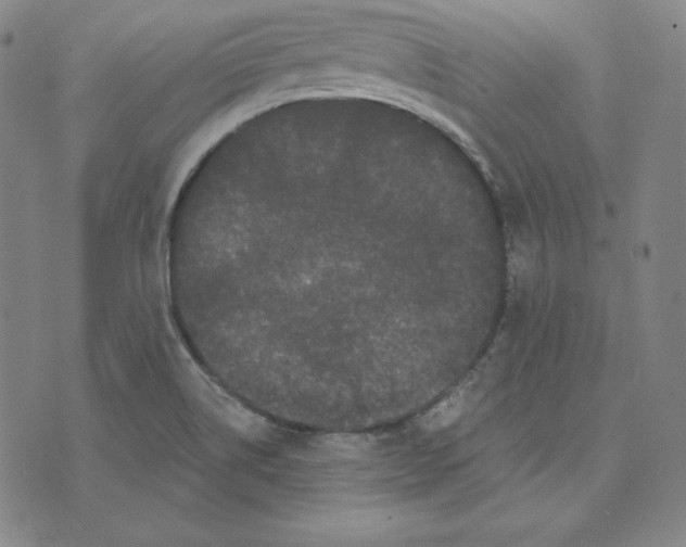 X0000074011514200609111610