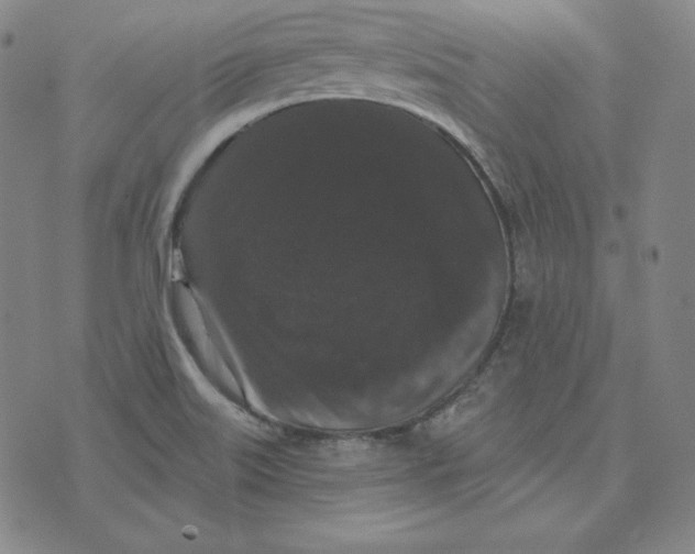 X0000074011515200609111610