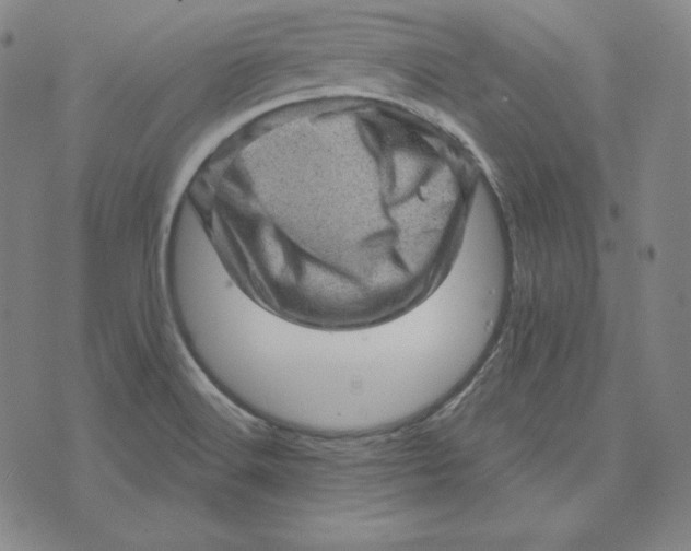 X0000074011516200609111610