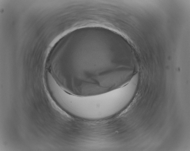 X0000074011518200609111610