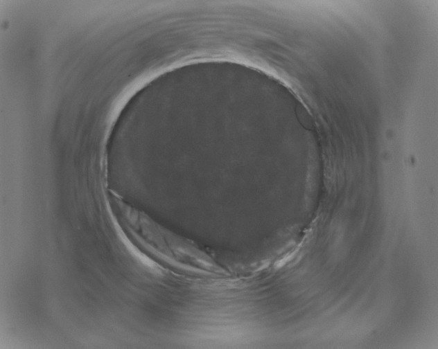 X0000074011519200609111610