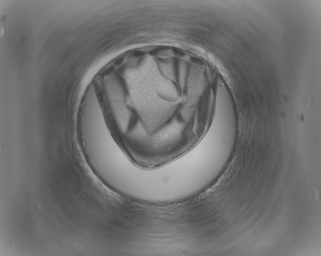 X0000074011520200609111611