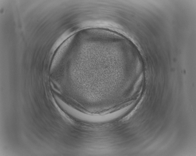 X0000074011521200609111611