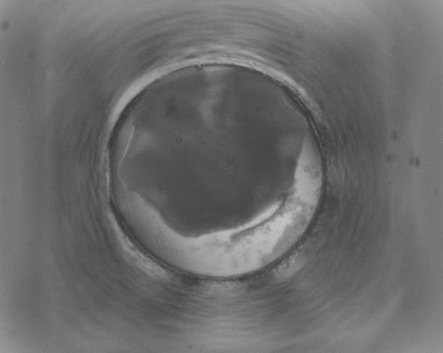 X0000074011522200609111611