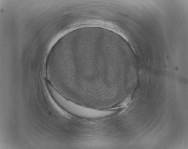 X0000074011523200609111611