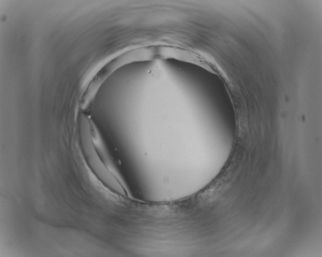 X0000074011524200609111611