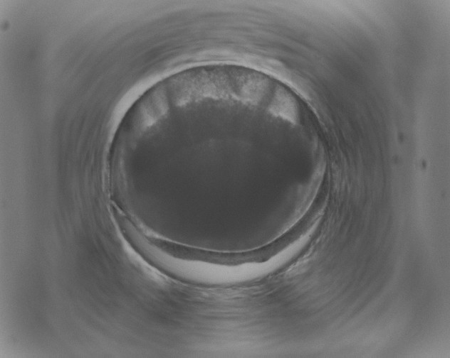 X0000074011527200609111611