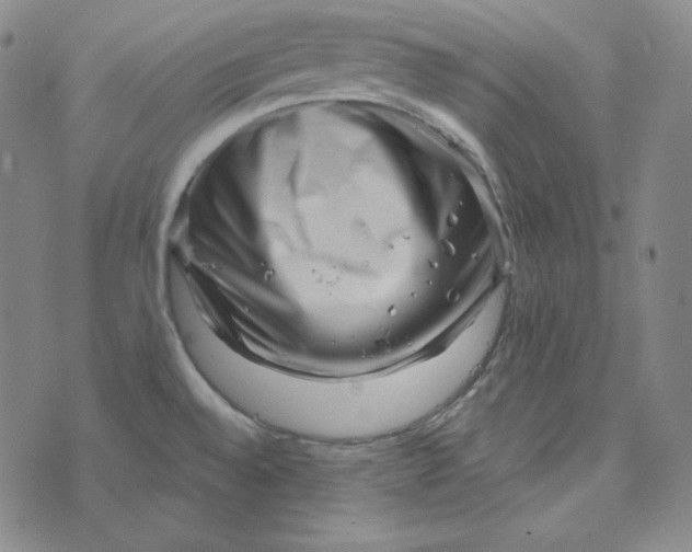 X0000074011528200609111611