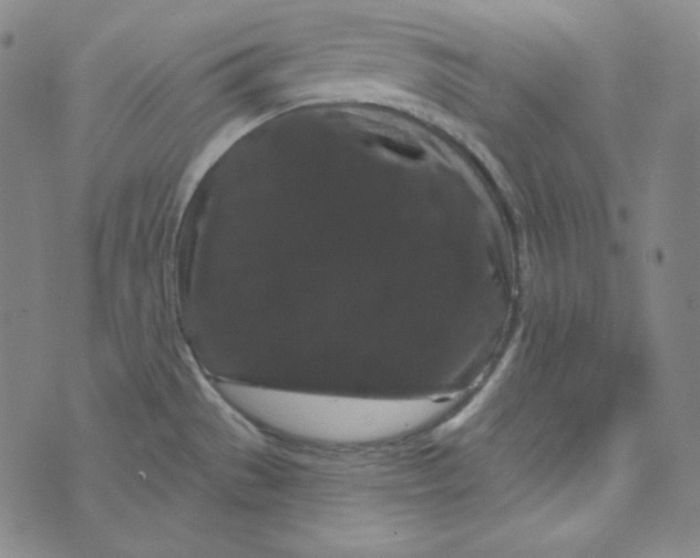 X0000074011529200609111611