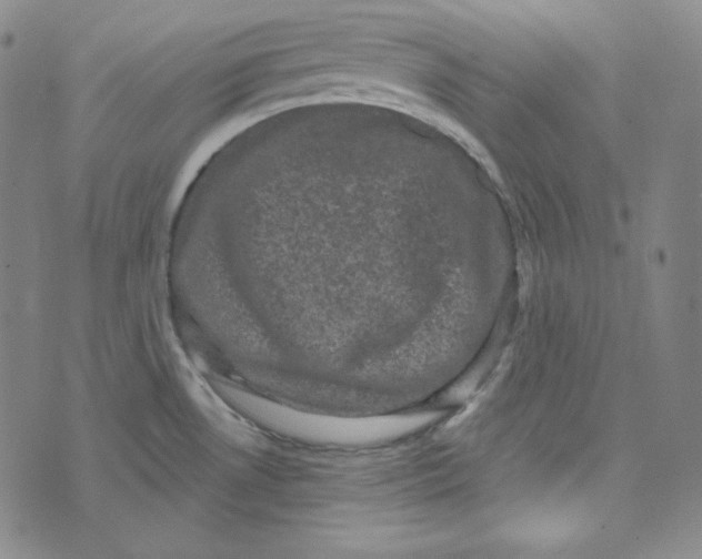 X0000074011530200609111611