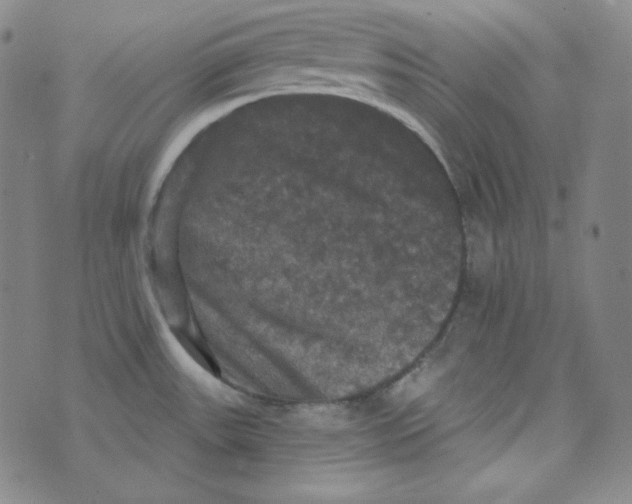 X0000074011531200609111611