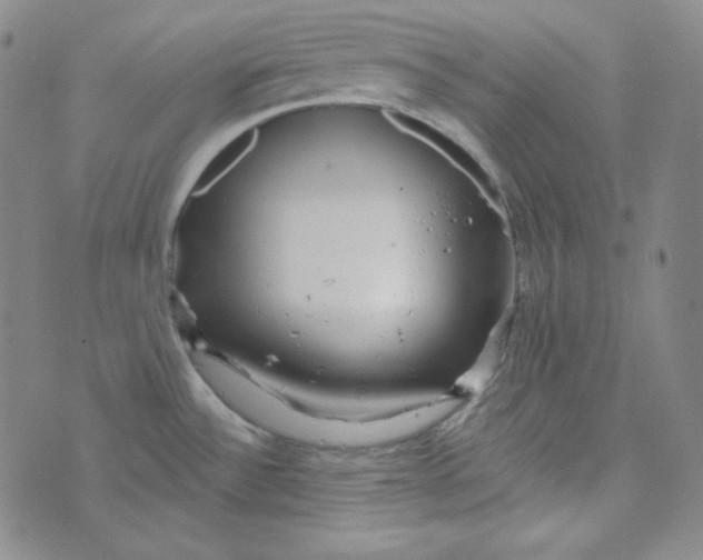 X0000074011532200609111611