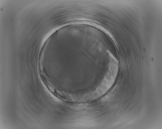 X0000074011533200609111611