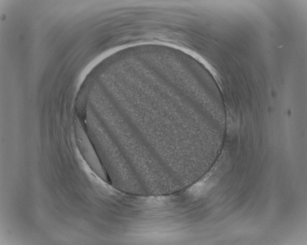 X0000074011534200609111611