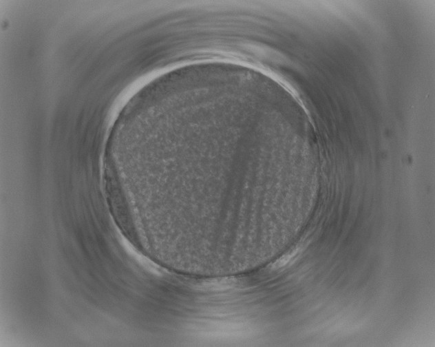 X0000074011535200609111611