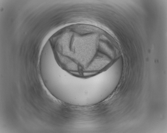 X0000074011536200609111611