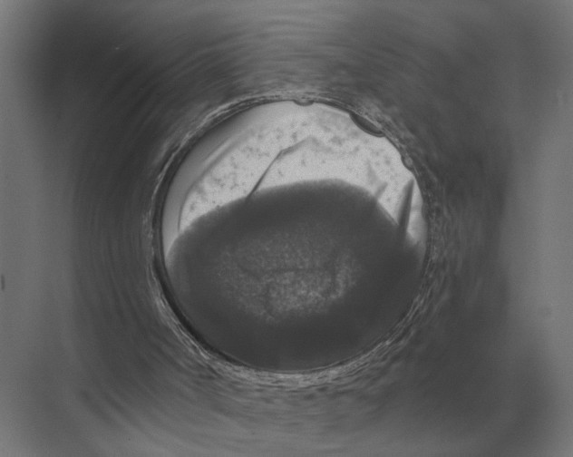 X0000074010002200609181846