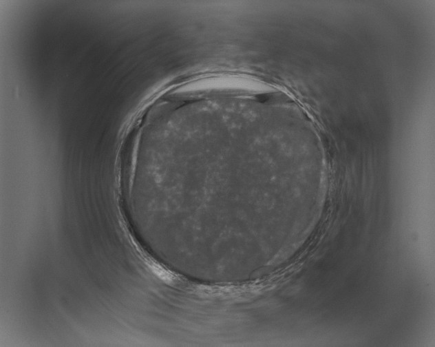 X0000074010005200609181846