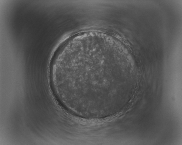 X0000074010006200609181846