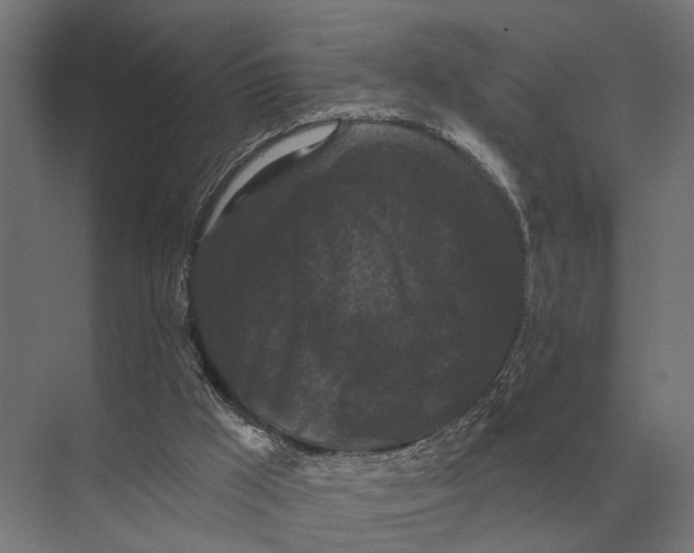 X0000074010009200609181846