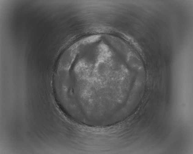 X0000074010010200609181846