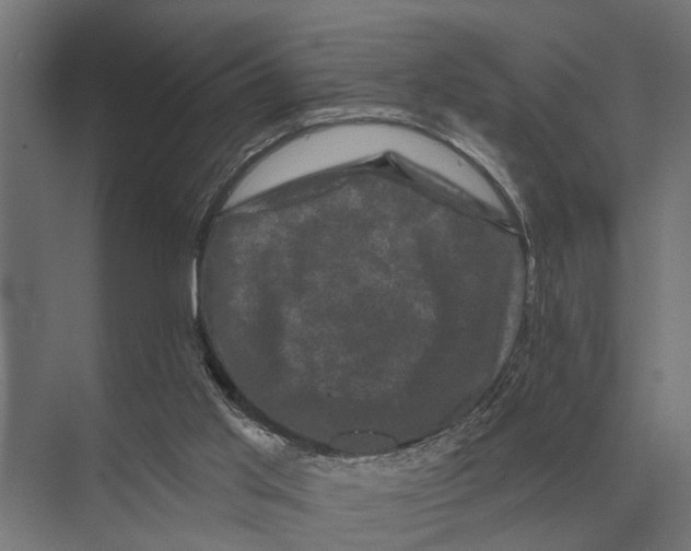 X0000074010013200609181846