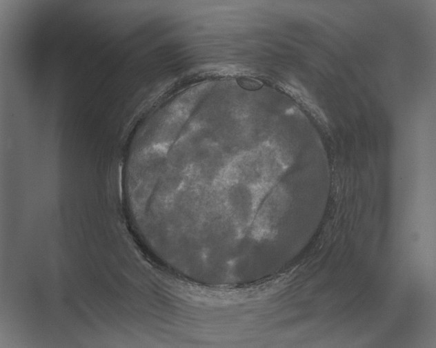 X0000074010014200609181846