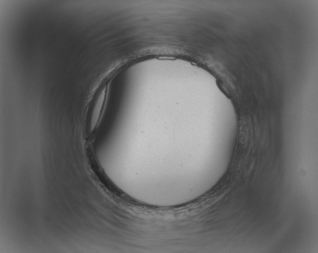 X0000074010015200609181846