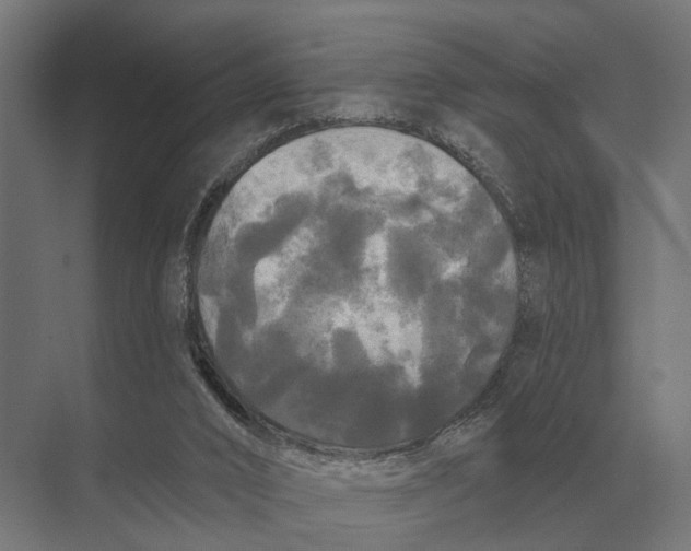 X0000074010016200609181846