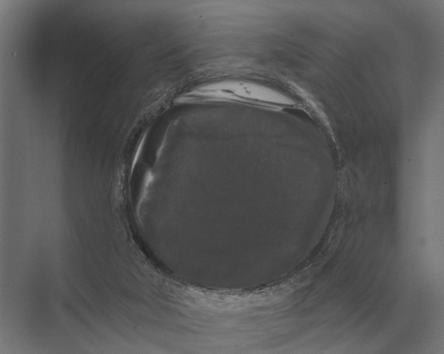 X0000074010018200609181846