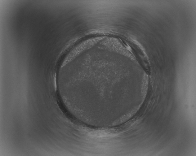 X0000074010020200609181846