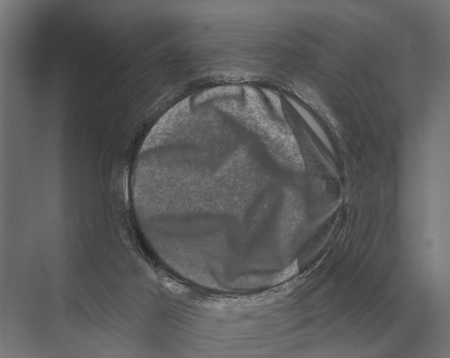 X0000074010021200609181846